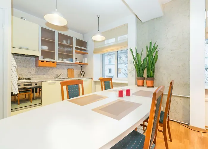 Large Downtown Appartement *