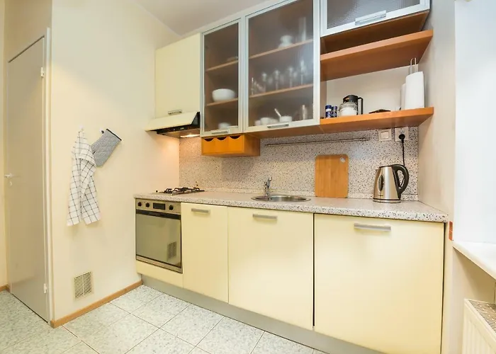 Large Downtown Appartement *