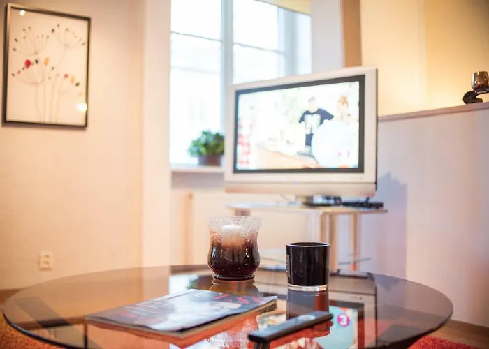 Apartment Large Downtown