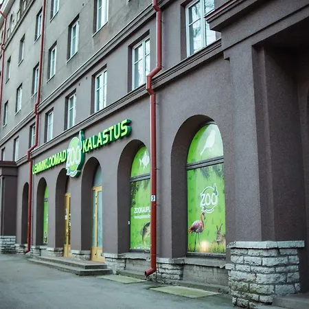 公寓 Large Downtown *